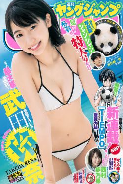 电视剧秋蝉